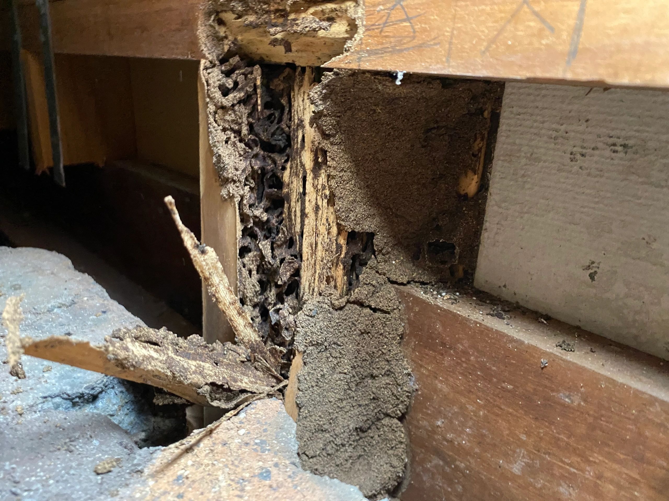 Hardwood Floor Restoration