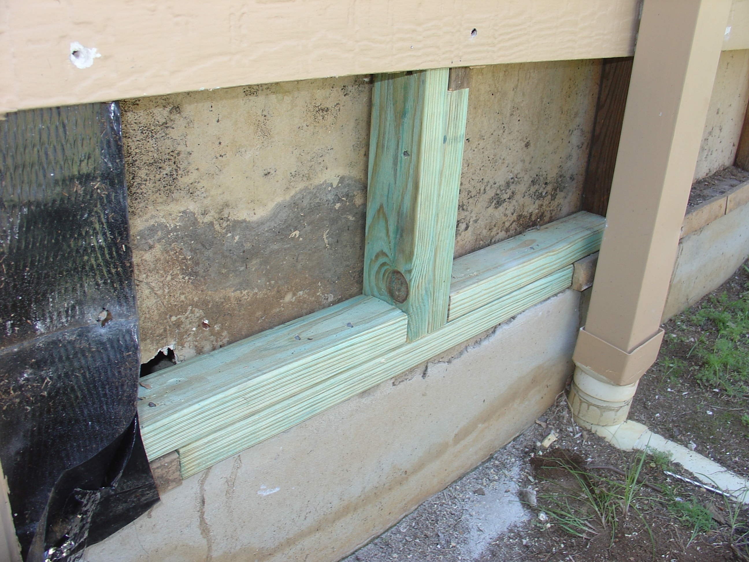 Carpenter repairing termite-damaged timber framing inside a home